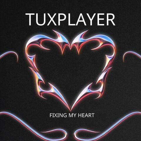 Fixing My Heart