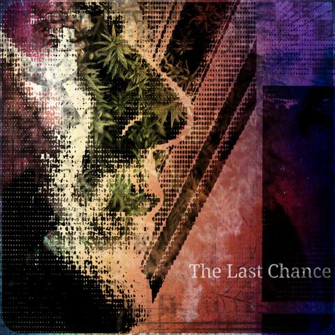 The Last Chance
