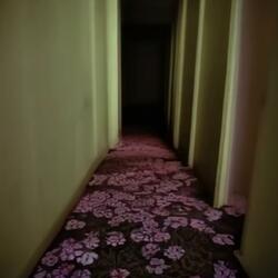 INFINITE GARDEN 1985 (Backrooms)