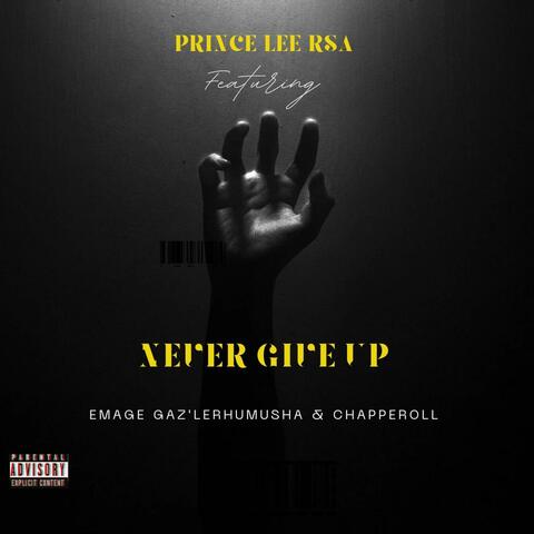 Never give up (feat. Emage Gaz'lerhumusha & Chapperoll)