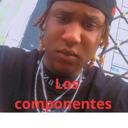 LOS COMPONENTES