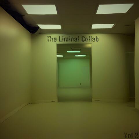 The Liminal Collab, Vol. 2