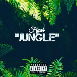 Jungle
