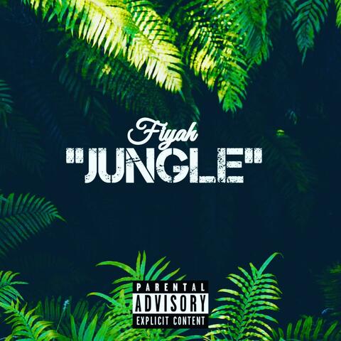 Jungle