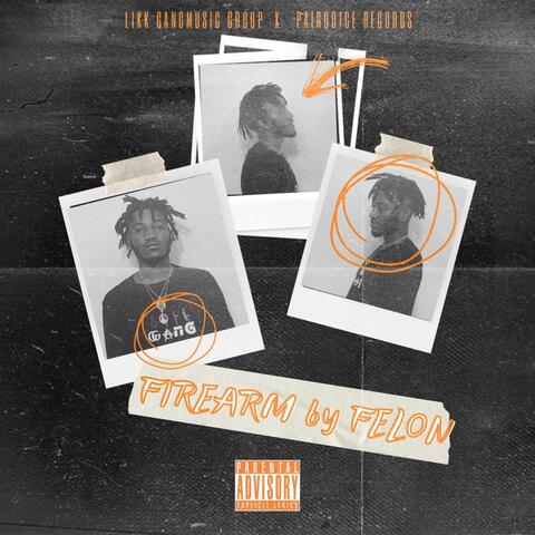 Firearm By Felon