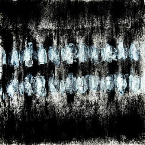 teeth