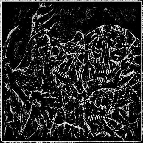 Skeletal Stalagmites