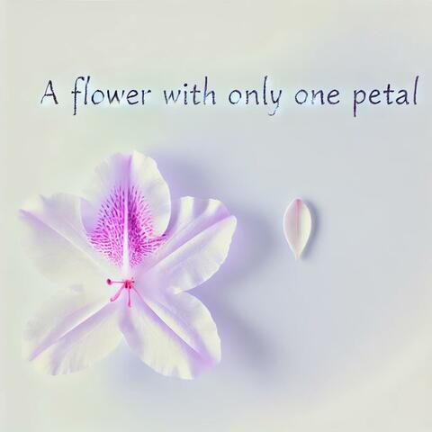 꽃잎이 하나뿐인 꽃