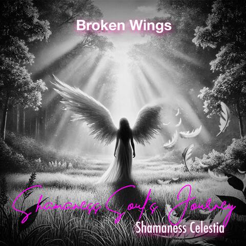 Shamaness Soul's Journey