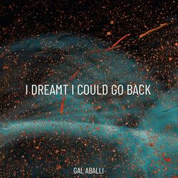 I Dreamt I Could Go Back