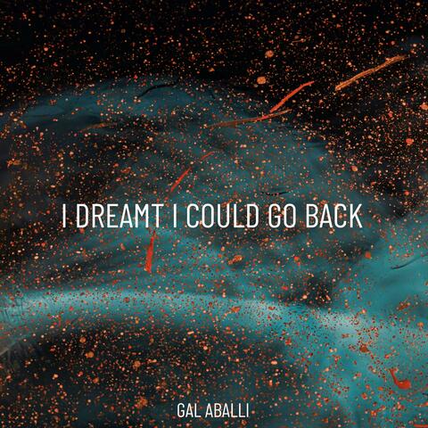 I Dreamt I Could Go Back