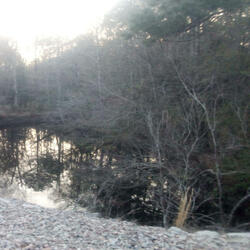 Story to tell (feat. Kashmir Redd)