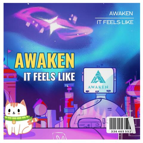 IT FEELS LIKE