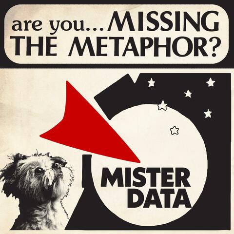 Missing the Metaphor