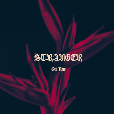 Stranger