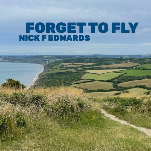 Forget To Fly