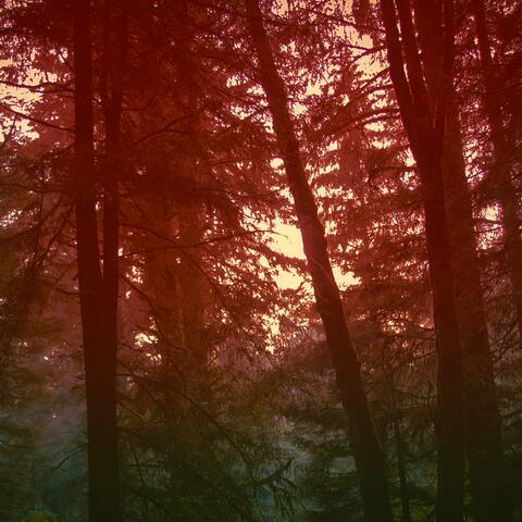 Lovesong
