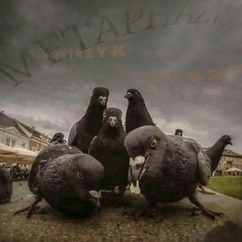 Popstrzyk / Raven