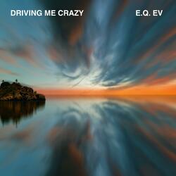 Driving Me Crazy