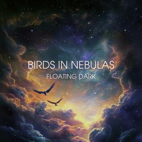 Birds In Nebulas