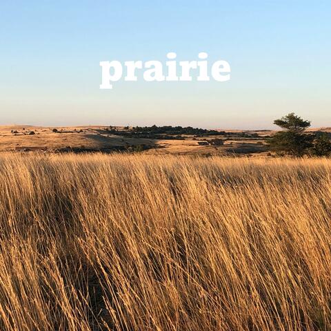 Prairie