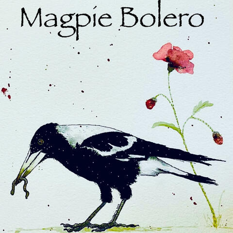 Magpie Bolero
