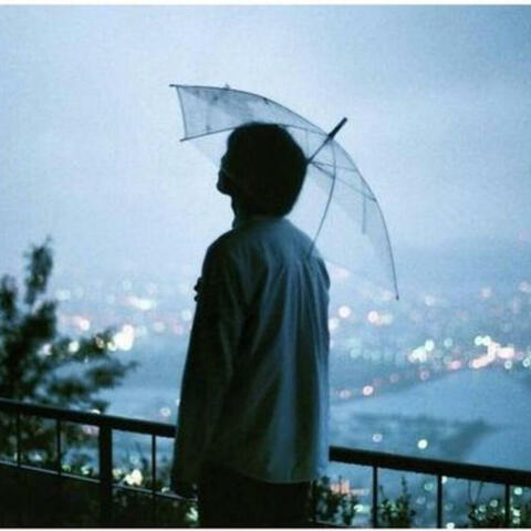 Rainy Summer Day in Tokyo