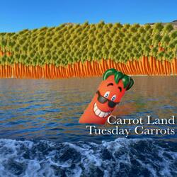 Carrot Land