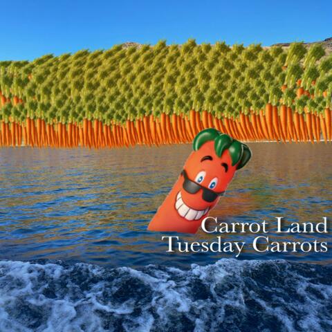 Carrot Land