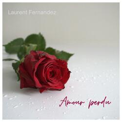 AMOUR PERDU