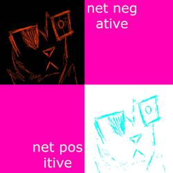 NET NEGATIVE