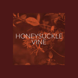 Honeysuckle Vine