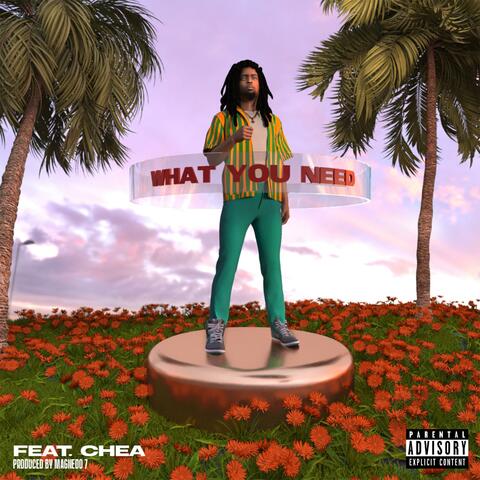 WHAT YOU NEED (feat. Chea)