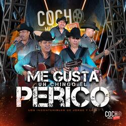 Me Gusta Un Chingo El Perico (feat. Los Incontenibles de Jorge y Luis)