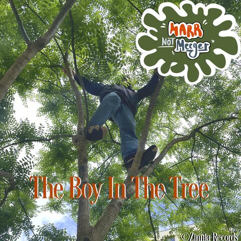 The Boy In The Tree