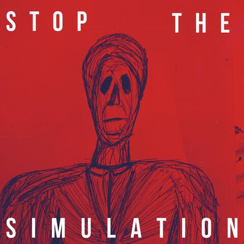 Stop The Simulation