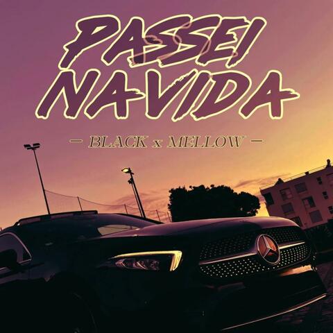 Passei na vida (feat. Mellow)