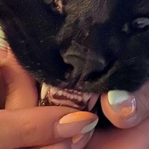 FIEND