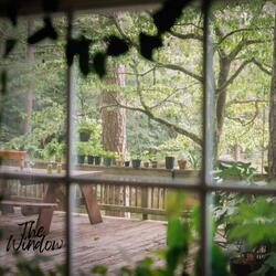 The Window