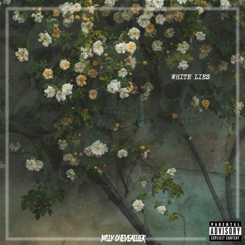 On the longest bed of roses (White Lies)