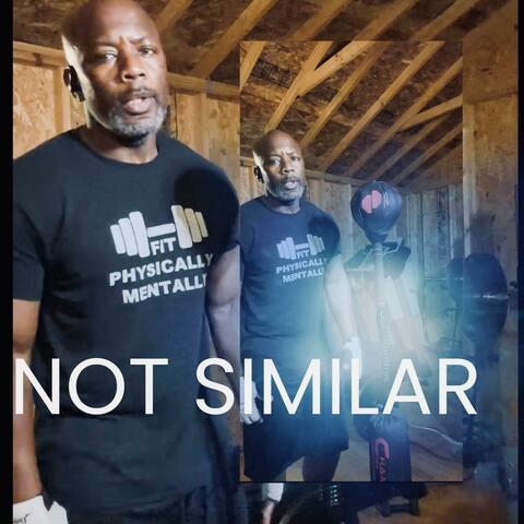 Not Similar