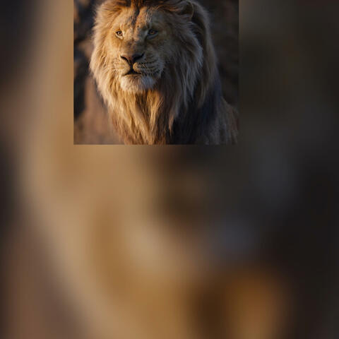 HEART OF A LION (purple hearts for Chunky)