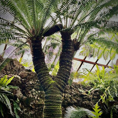 No Weak Energy Allowed