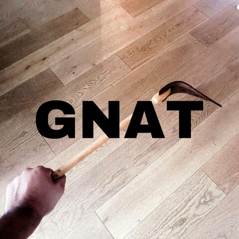 GNAT