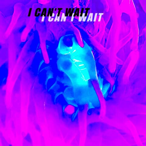 I Can't Wait (feat. Matthew Leary)