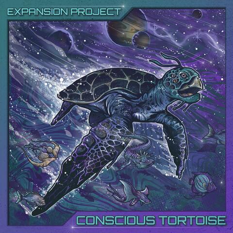Conscious Tortoise