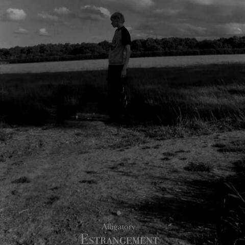 Estrangement