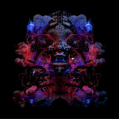 Liebesleid (Remaster)