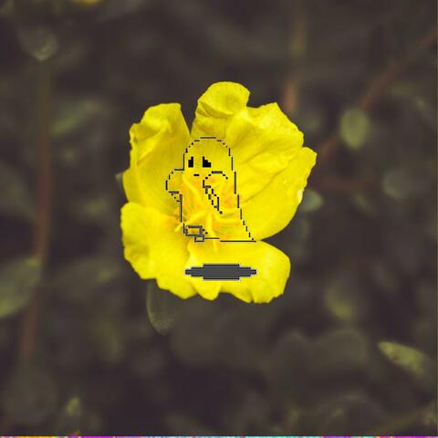 Love in a flower