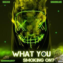 What You Smoking On (feat. Shandilare & NewWorldMTP)